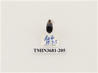 藏品(鞘翅目(1))的圖片